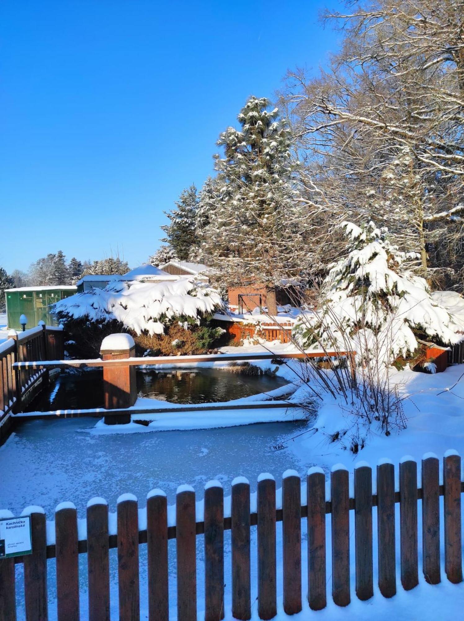 Penzion Kosky Hamr Esterno foto