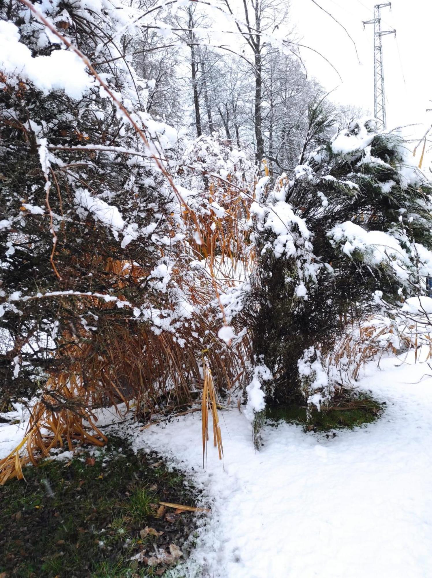 Penzion Kosky Hamr Esterno foto